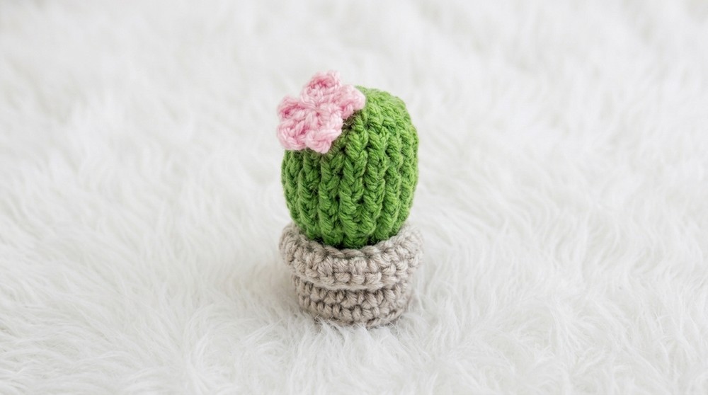 Crochet Mini Cactus Pot Pattern 4
