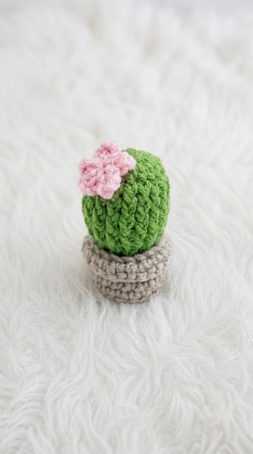 Crochet Mini Cactus Pot Pattern 5