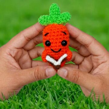 Crochet Carrot With Holding Book Pattern 5