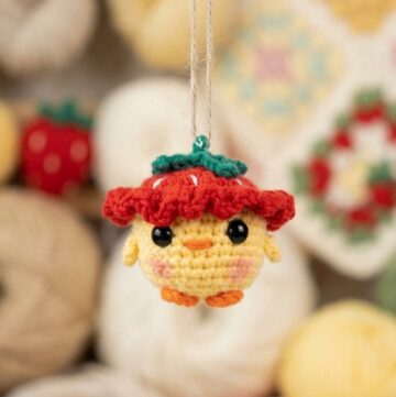 Crochet Strawberry Chick Pattern 5