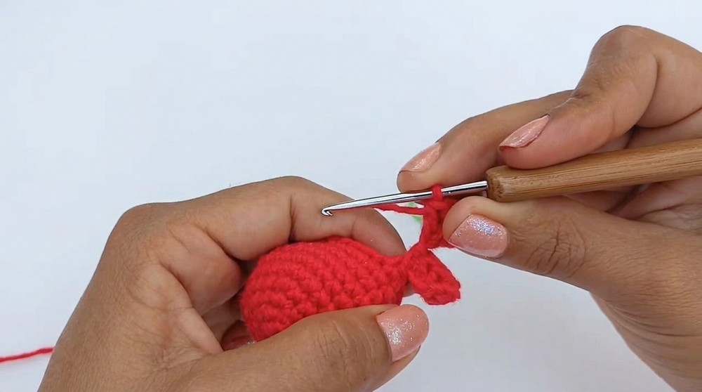 Crochet Strawberry Whale Pattern 1