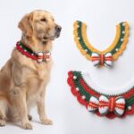 How To Crochet Christmas Style Pet Collar For Dog Cat (13)