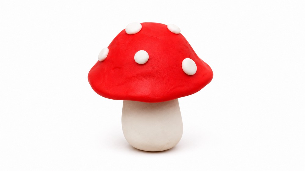 DIY Polymer Clay Mushroom Pattern 6