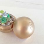 DIY EOS Terrarium with Totoro 1