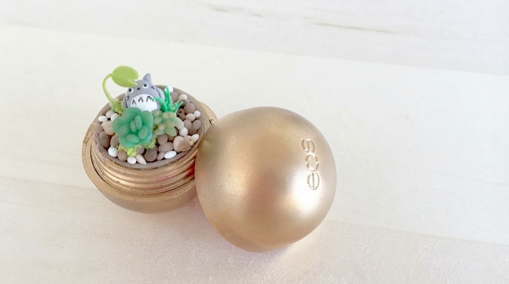 DIY EOS Terrarium with Totoro 1