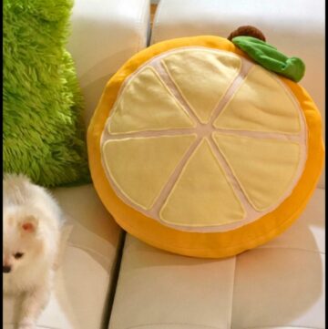 DIY Kawaii Orange Fruit Slice Pillow - Sewing Tutorial 1