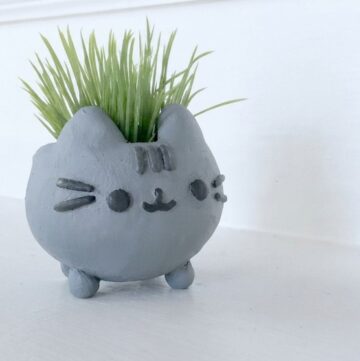 DIY Pusheen Planter Pot 1