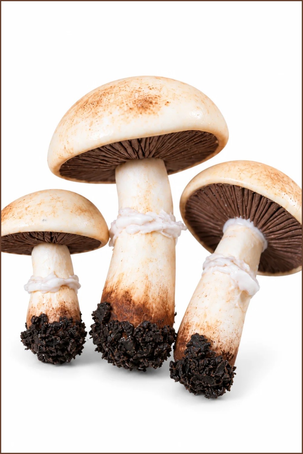 DIY Polymer Clay Mushroom Tutorial 7