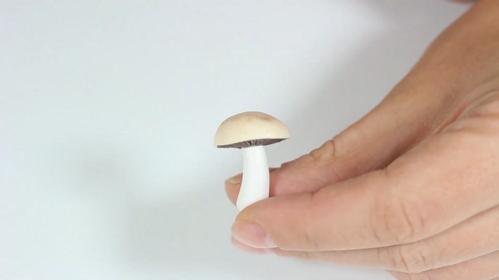DIY Polymer Clay Mushroom Tutorial 5