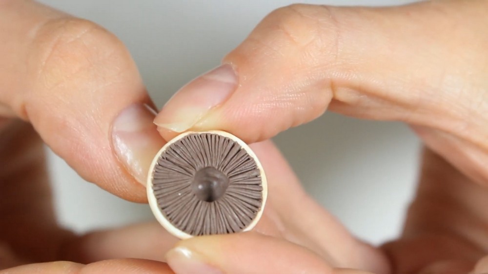 DIY Polymer Clay Mushroom Tutorial 4